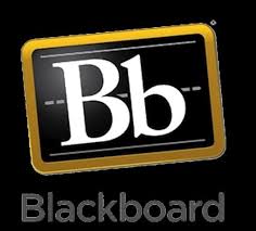 Preceptors Blackboard Training Manual/Video